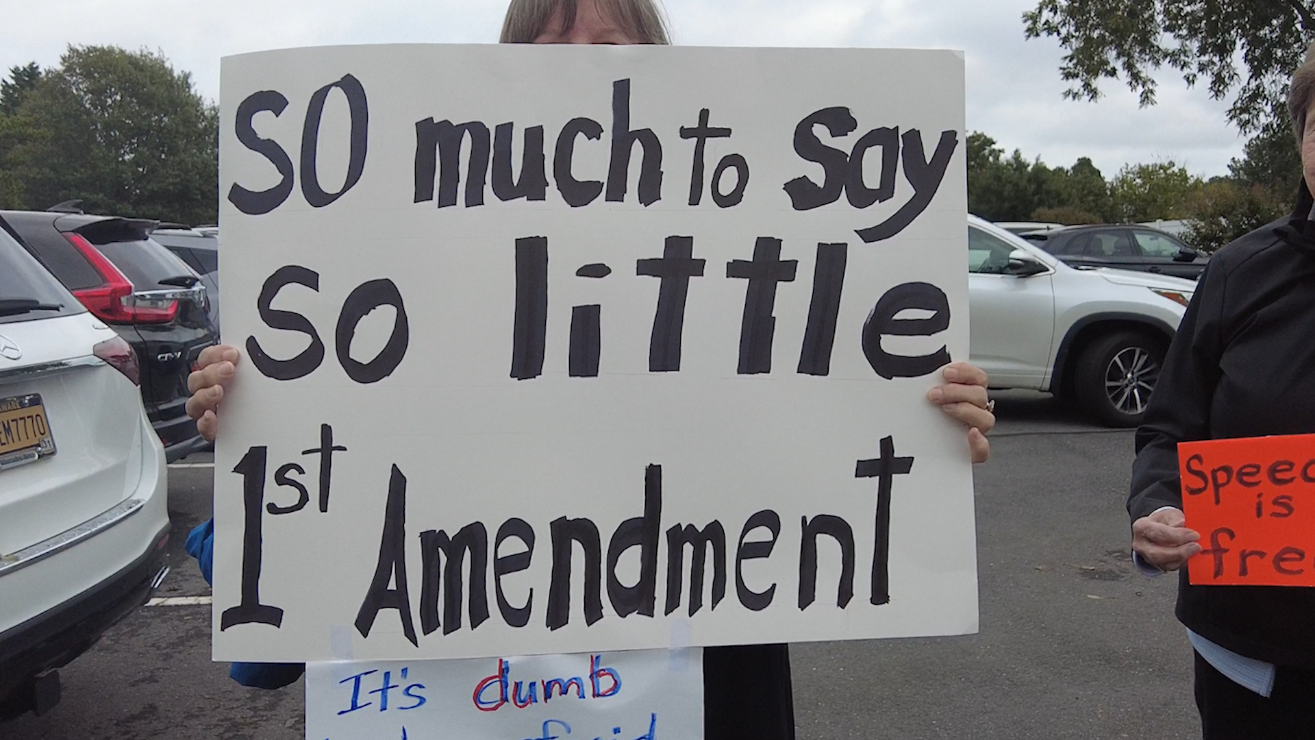 ‘Why Are You Even Doing This?’ Protest Ordinance Draws Fire in Ocean View
